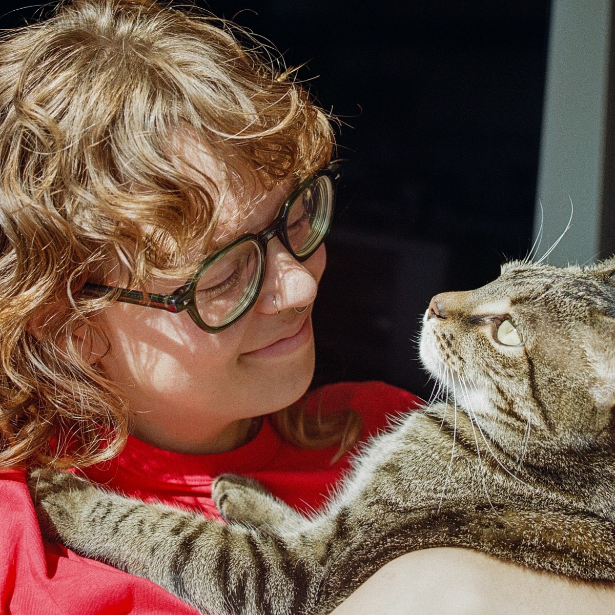 November Reading Wrapped